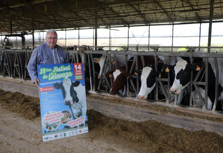 Thierry Chanu, co-président du syndicat des éleveurs de Prim'Holstein du Calvados, est à la manœuvre du concours PH de Vire, lequel verra concourir une soixantaine d'animaux.