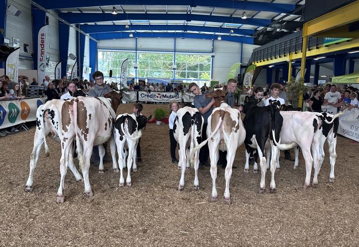 Les huit finalistes ont fait un dernier tour de ring avant que le juge dévoile les trois jeunes sélectionnés pour le concours National en octobre à Alençon.