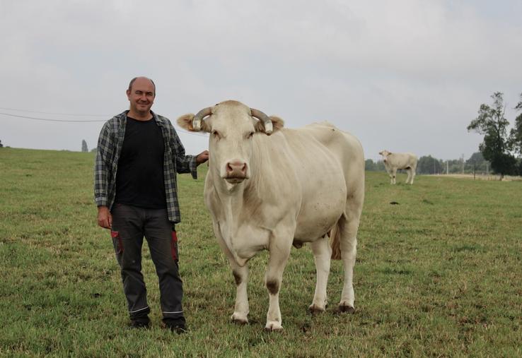 Johan Auffret est président de l'Aseban. Installé en 1998, il s'est passionné pour la race Blonde d'Aquitaine alors qu'il réalisait des concours de pointage jeune.