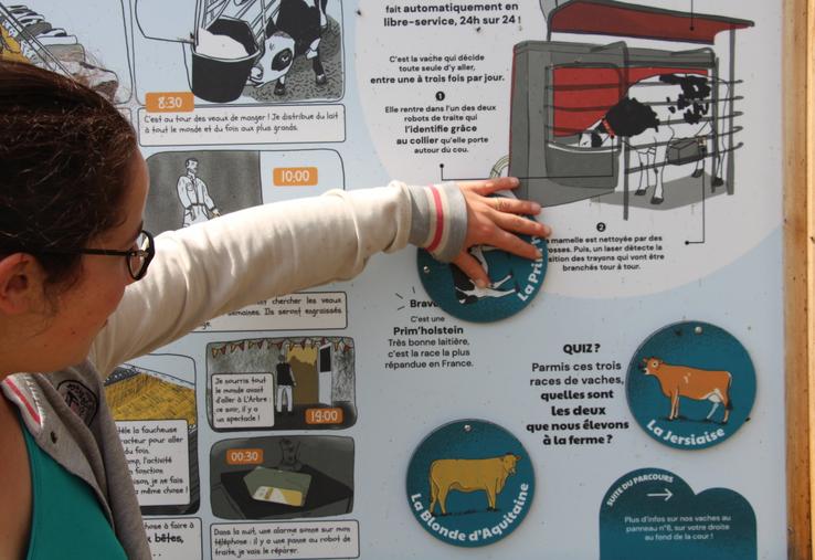 Inès Haelewyn Forquin nous expliquant le fonctionnement des panneaux interactifs.