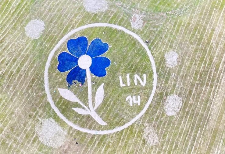 La fresque imaginée par Anne-Ingrid Le Granché, s'étend sur 35 mètres par 35 mètres.