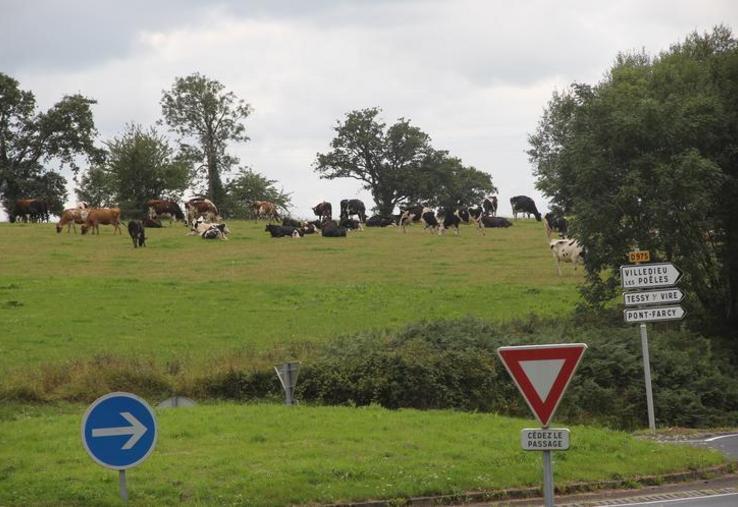 Le PLUI de Villedieu Intercom fait à nouveau réagir la Chambre d'agriculture de la Manche, qui dépose un recours contentieux auprès du Tribunal administratif de Caen.
