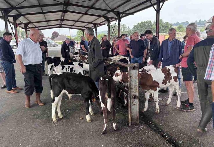Le marché de Gavray-sur-Sienne a réouvert le 13 août dernier.