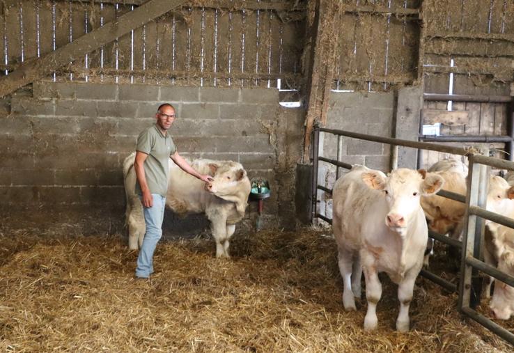 Emmanuel Leboucq participera pour la première fois à un concours bovins en se rendant au concours interrégional Charolais à la Foire de Caen. "Je ne m'attends pas à monter sur le podium, mais il faut bien débuter un jour", lance-t-il avec le sourire. On le retrouvera le 27 septembre sur le ring.
