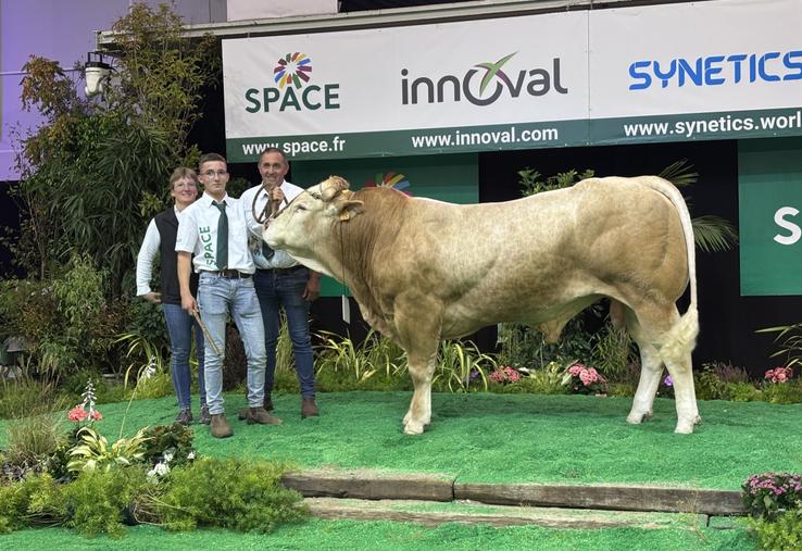 La famille Sallot, Fanny, Baptiste et Jérôme, décroche une première place de section avec Vaillant, un jeune taureau.