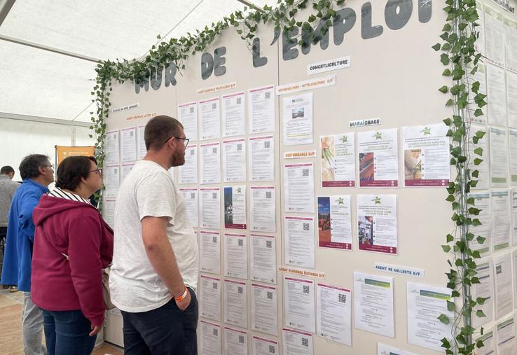 Ce n'est plus sur un mur comme l'année dernière mais sur des piliers que les offres d'emploi, de stage ou d'alternance seront diffusées.