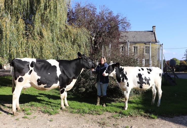 Le Gaec Lerouxel devait être présent au national Prim'Holstein les 24, 25 et 26 octobre prochains. Après une première participation au départemental de Vire en 2022 et au Salon international de l'agriculture 2025 en Jersiaise, Christine Lerouxel devait parader avec deux vaches et une génisse sur le ring d'Alençon. Ce n'est que partie remise.