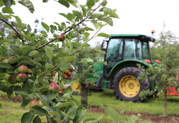 Chez nos voisins bretons, les tonnages seraient en hausse (+ 7,5 %) par rapport à 2024. La récolte serait la meilleure depuis 2021, dépassant la moyenne 2020-2022 (+ 2 %).
