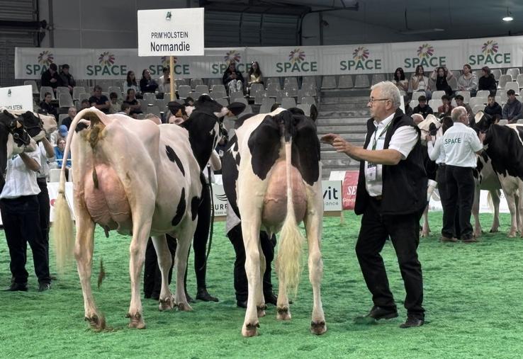 Les Prim'Holstein ne seront pas présentes à l'édition 2025 du Salon tous paysans, contraintes d'annuler leur concours national. La ministre de l'Agriculture ayant suspendu tous les rassemblements en raison du contexte sanitaire.
