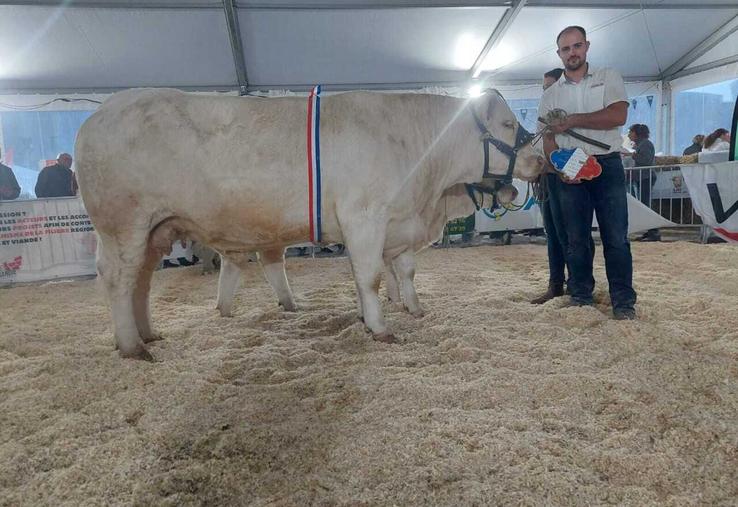 Rumba P du Gaec Maguet James a reçu le prix d'honneur femelle adulte.