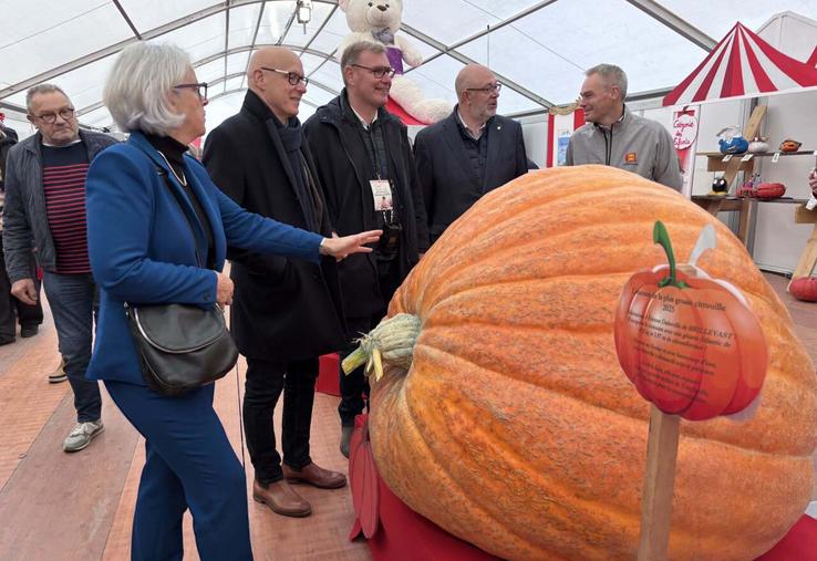 485 kg, c'est le poids de la plus grosse citrouille de l'édition 2025 de la foire Saint Luc de Gavray-sur-Sienne. Un poids qui a laissé plus d'un visiteur perplexe.