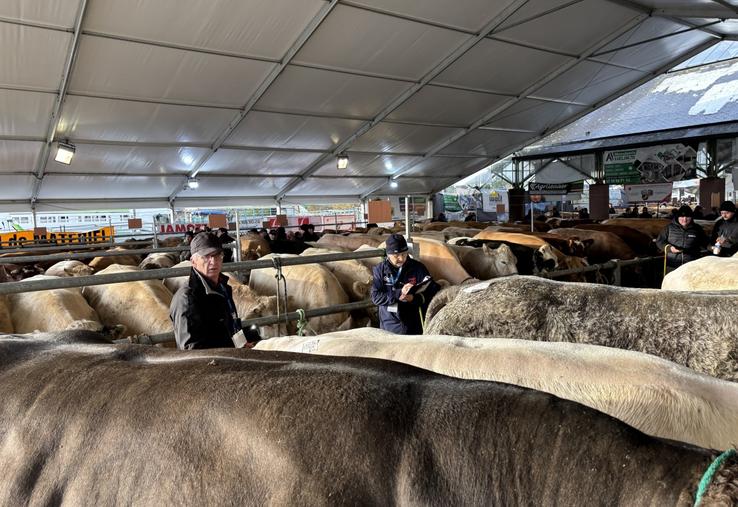 Laurent Binet, président fondateur du Festival de la viande à Torigny, reste le pilier de cette édition 2025. Il s'appuie sur une équipe de 130 bénévoles.