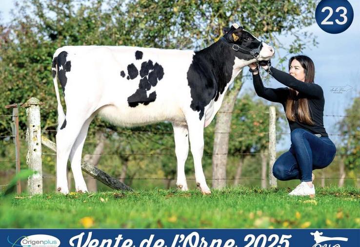 La génisse, Ambre F PP, a décroché le top price à 13 000 €. Un prix meilleur qu'au Space six semaines plus tôt.