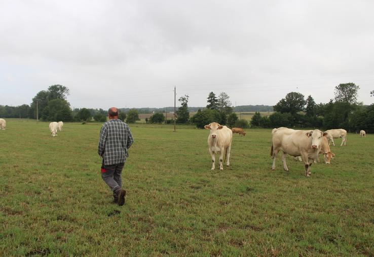 Le suivi IPP permet d'observer la production herbagère tout au long de la campagne et d'identifier rapidement les zones affectées par des pertes.