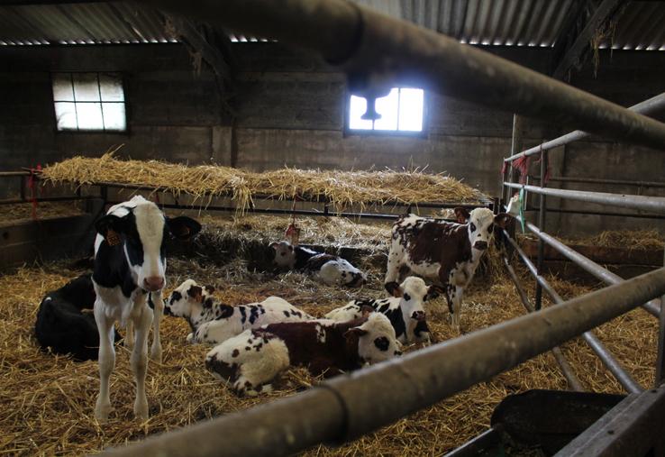 "Les outils existent, mais ils n'ont de sens que s'ils s'inscrivent dans une stratégie claire", intervient Mathilde Enjalbert, conseillère d'exploitation et référente production d'Elvup.