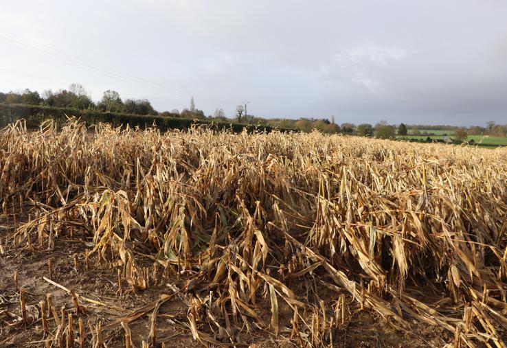 Les aléas climatiques ont de fortes conséquences sur les productions fourragères, notamment dans certains secteurs de l'Orne.