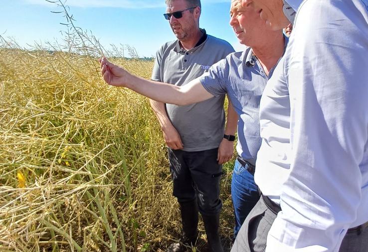Pour Jean-Michel Hamel, président de la FDSEA, le déplacement sur le terrain le 18 juin 2025 a porté ses fruits.
