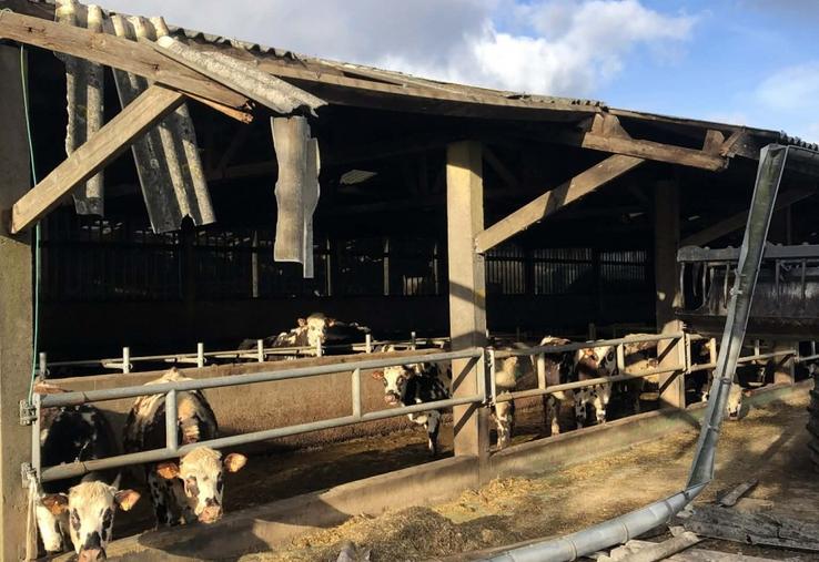 Au petit matin de la tempête Goretti, des éleveurs ont pu constater les dégâts sur leurs bâtiments.