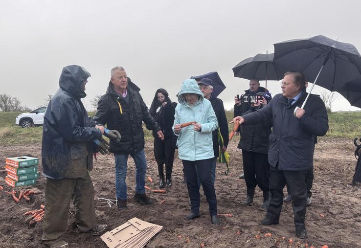 C'est dans le champ de Laurent Lemoigne, producteur de Créances, que la visite de la ministre de l'Agriculture, Annie Genevard, a débuté le 22 janvier dernier.