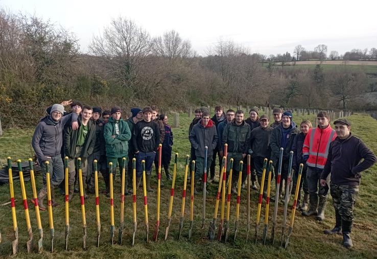 En filière GMNF à Vire, le bac professionnel accueille une vingtaine d'élèves chaque année. La pratique y est largement valorisée avec de nombreux chantiers en partenariat avec les acteurs locaux.