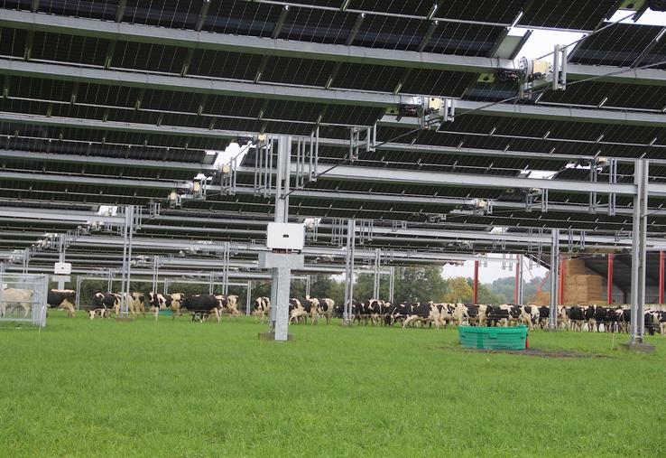 Sur la commune de Souleuvre-en-Bocage, dans le Calvados, un autre projet agrivoltaïque, porté par une exploitation bovine laitière, permet déjà d'alimenter la réflexion régionale avec l'Idele. Chez TSE ce système s'appelle une canopée.