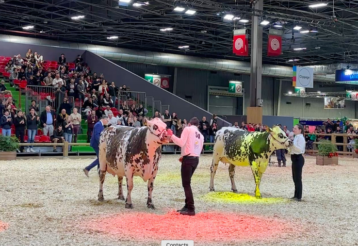 Plus de 600 000 visiteurs ont fait le déplacement au SIA, y compris pour voir des vaches lors des concours.