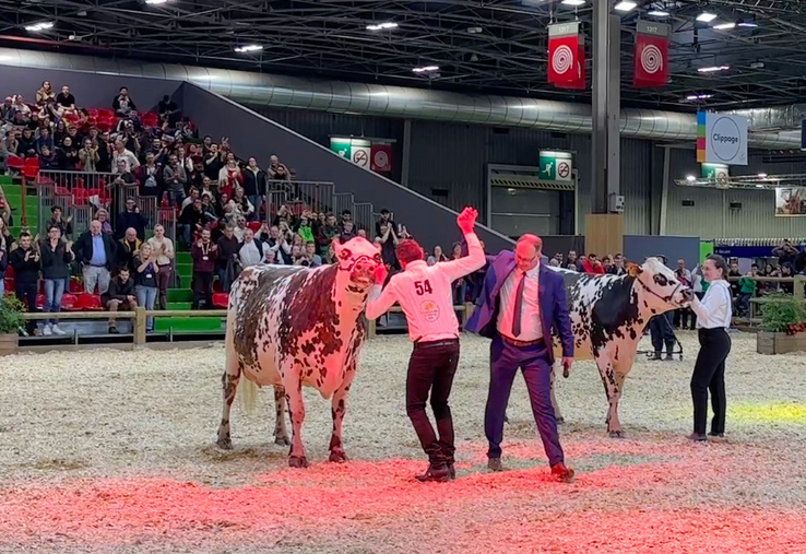 Le hall 1 qui accueillait le grand ring et de nombreux bovins va devoir se réinventer.