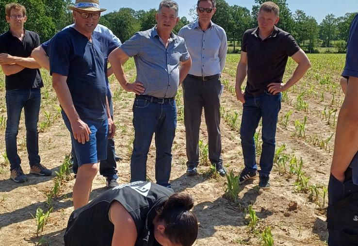 Un tour de champs de l'administration a permis de constater les dégâts causés par l'orage de grêle dans le sud de la Manche à la mi-juin 2025.