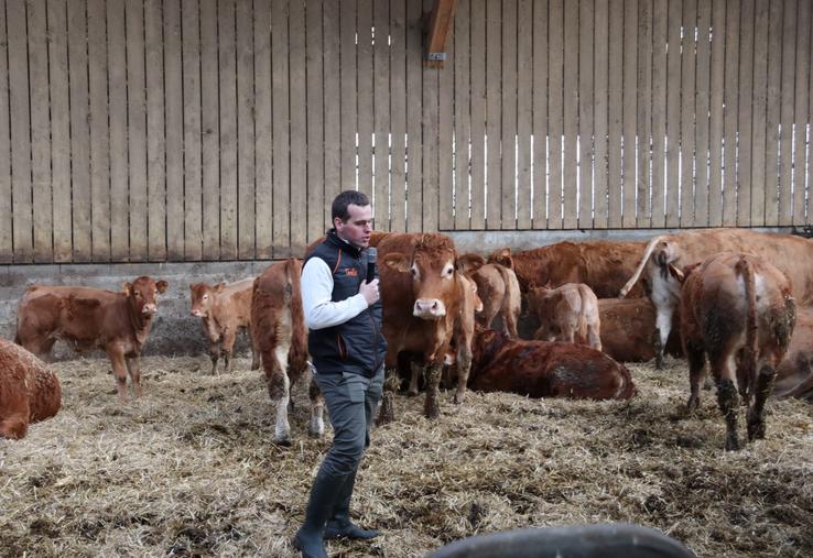 Benjamin Legigan est installé depuis 2015 à Brectouville. Il élève un troupeau de 27 vaches de race Limousine. Il souhaite construire un nouveau bâtiment pour lui permettre d'atteindre 100-110 vêlages par an.