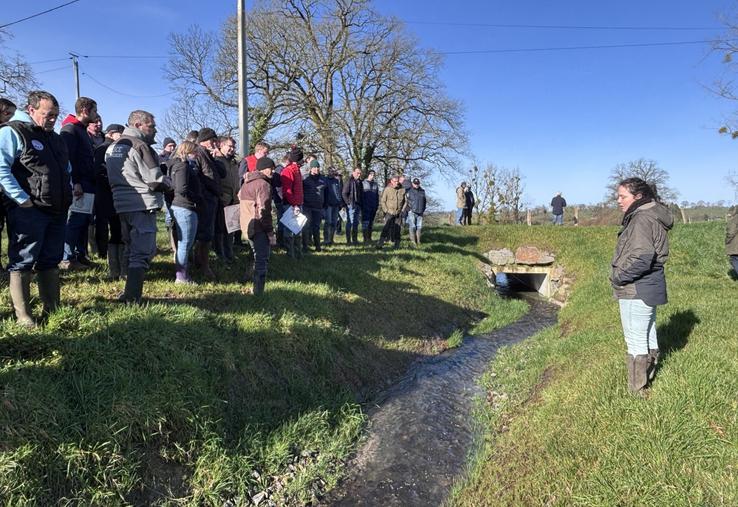 Dix-huit mois après la venue du préfet, une seconde visite préfectorale a permis de voir les travaux engagés sur le Bieu, cours d'eau qui traverse les champs de Laurent Bisson et Jean-Pierre Yvon à Brécey. Une visite concrète.
