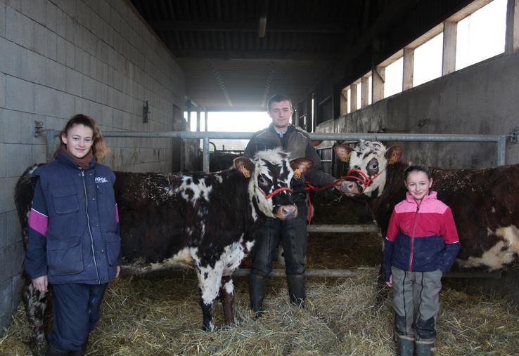 Louane (12 ans), Tony, apprenti de 17 ans, et Adèle (10 ans) avec deux veaux qui participeront au concours Jeunes Présentateurs lors de la Fête de la Normandie, dimanche 8 mars 2026 de 14 h 30 à 17 heures au Hall du Champ-de-Foire, à Argentan.
