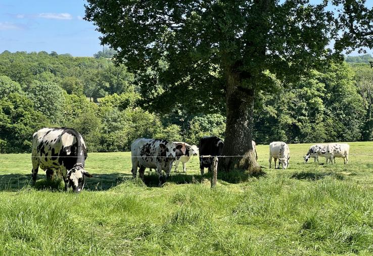 "L'assemblée est un moment important pour comprendre les dynamiques en cours, poser des questions et contribuer aux réflexions collectives", précise Valentine Latimier, présidente.