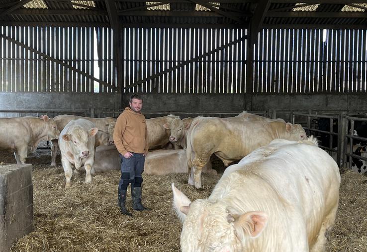 Jean-Baptiste, Hugues et Maxime Lalonde accueilleront la prochaine assemblée générale du syndicat Charolais du Calvados sur leur ferme à Saon, dans le Bessin. Ils y élèvent, entre autres, 120 mères Charolaises.