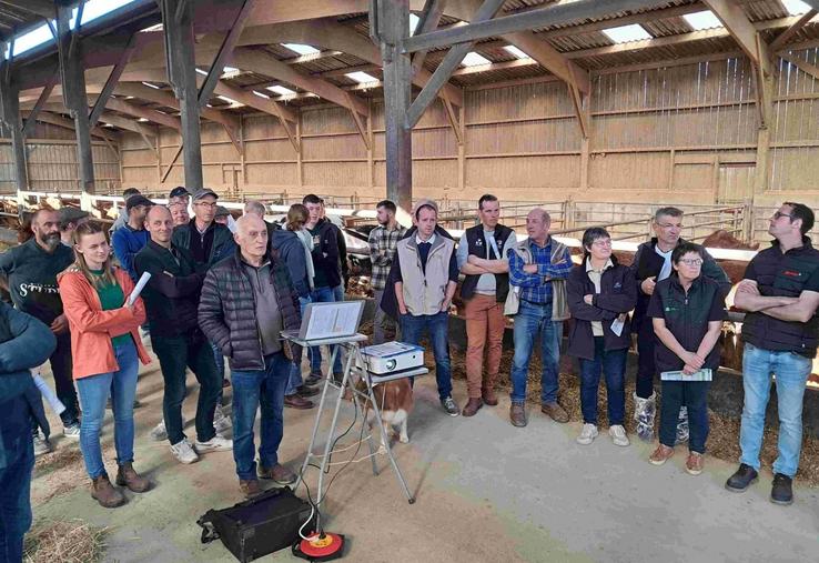 L'assemblée générale des Limousins a eu lieu à Barenton chez la famille Gouin.