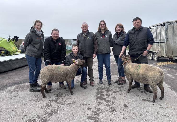 Les deux béliers qui ont décroché la plus belle enchère partent pour l'un à Rauville-la-Place, à l'EARL de la Mare, acquis en co-propriété avec le Gaec du Gard, et le second chez Sylvain Debout, éleveur à Eroudeville.