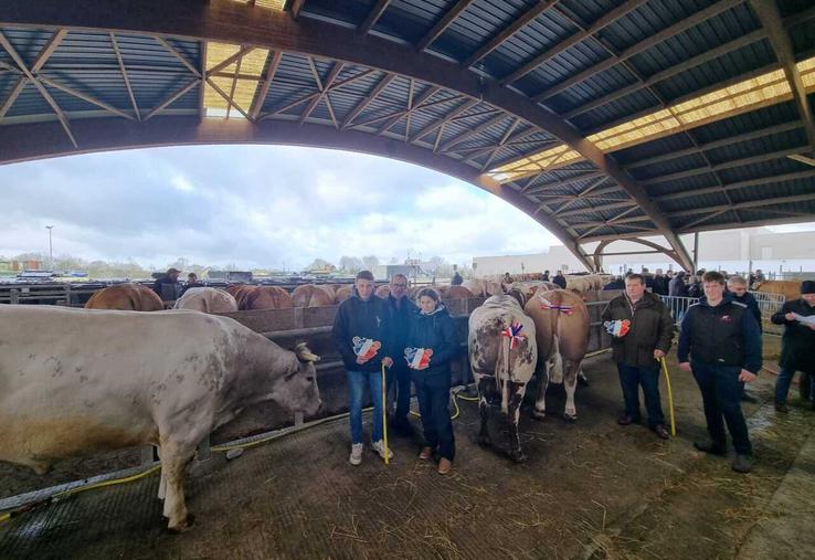 Les trois animaux du prix de championnat sont issus pour deux d'entre eux de l'Eure (famille Portman) et un second de la Manche (Freddy Leconte).
