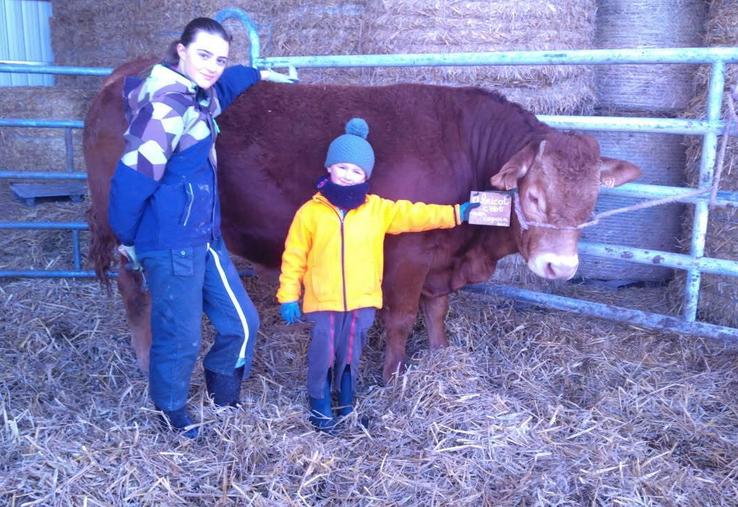 Manon Ecalard participera pour la 1re fois à un concours. Elle sera accompagnée d'un veau de 14 mois, Abricot, sous les yeux admiratifs de son petit frère.