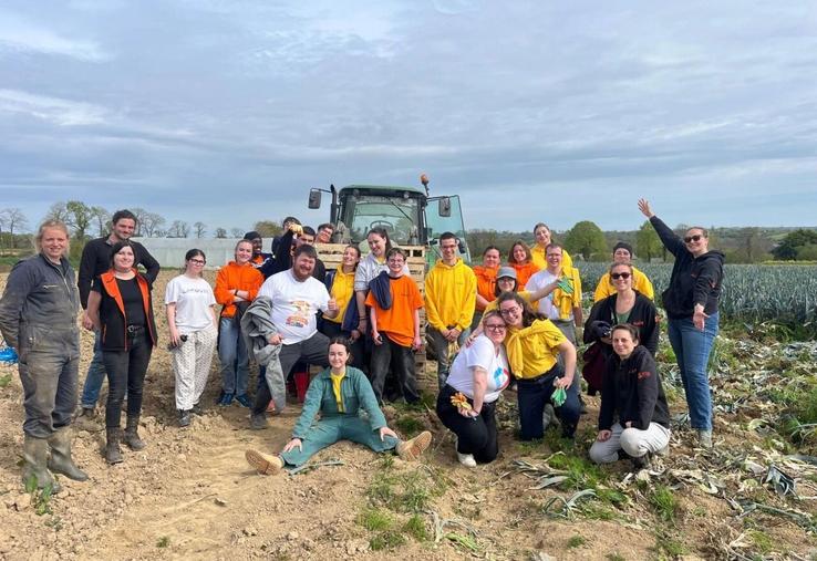 Tout au long de l'après-midi, les jeunes de l'association Unis Cités, ont glané les poireaux dans les parcelles de la Ferme des mille saveurs.