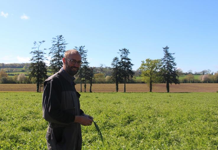 Loïc Cousin a été élu président de la section bovine, mercredi 8 avril 2026, par le conseil d'administration de cette dernière. 