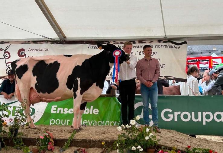 Avec la vache du Gaec du Gard, Alban Gosselin a passé l'épreuve du concours de présentateurs en décrochant la première place. 