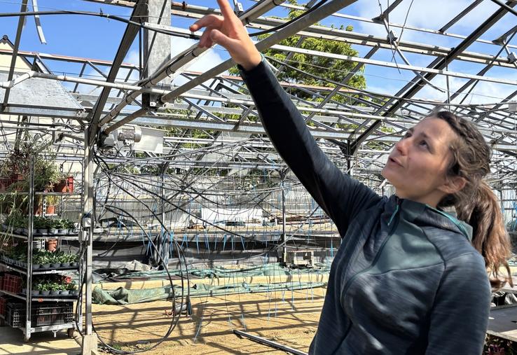 Le 27 mai au soir, aux alentours de 22 h, C'était une scène apocalyptique pour l'horticultrice, installée depuis 8 ans à Cérences.