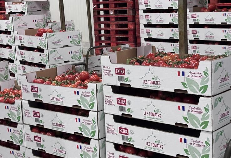 Les Serres du Buat prévoient de s'étendre sur 16 ha supplémentaires à Isigny-le-Buat.