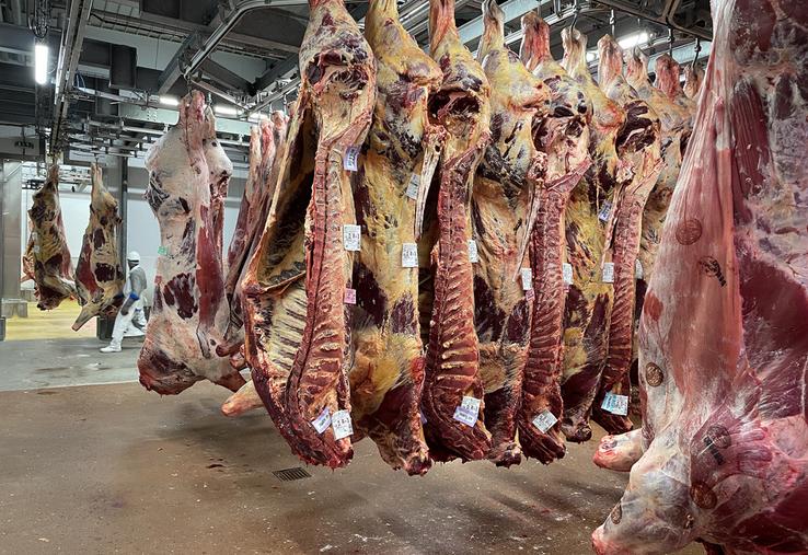 Le cas a été détecté en abattoir, issu d'un septième foyer confirmé par les autorités sanitaires mi-août, sur la commune de Brémoy, près de Jurques. 