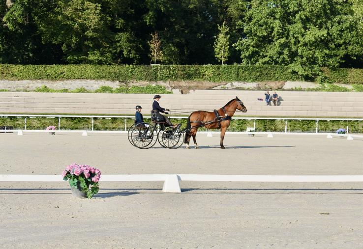 Le haras du Pin avait accueilli son premier championnat du monde en 1979