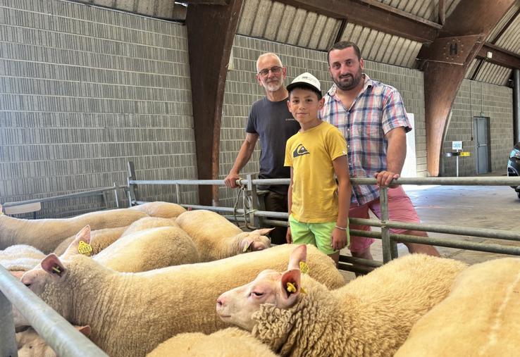 Au concours d'arrondissement d'Avranches le 8 juillet, Nicolas Avenel remporte le championnat mâle et femelle ainsi que le prix d'ensemble. Il est suivi de près par Olivier Lejamtel de Le Mesnil-Ozenne. Les deux hommes ont la même passion. D'ailleurs, le bélier présenté l'année dernière au Salon de l'agriculture à Paris par Nicolas Avenel est devenu champion. Il provenait de l'élevage de son collègue.
