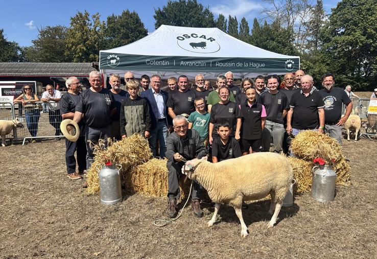 Treize éleveurs de la Manche et du Calvados ont participé au concours du Cotentin, marquant les 101 ans de la race fêtés dans le cadre du comice agricole Brécey/Saint-Pois.
