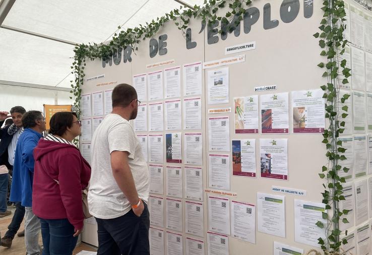 Au-delà des annonces affichées au sein du pôle innovation, formation, emploi, les jeunes, les demandeurs d'emploi, ou en quête d'une reconversion, pourront rencontrer des responsables de ressources humaines qui recherchent de nouveaux collaborateurs.