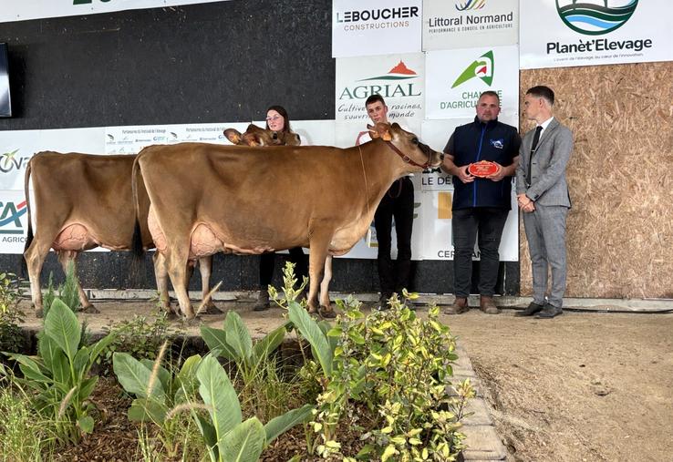 Le Gaec du gard de Breuville s'impose à Lessay en remportant le titre de grande championne et le duo d'élevage.
