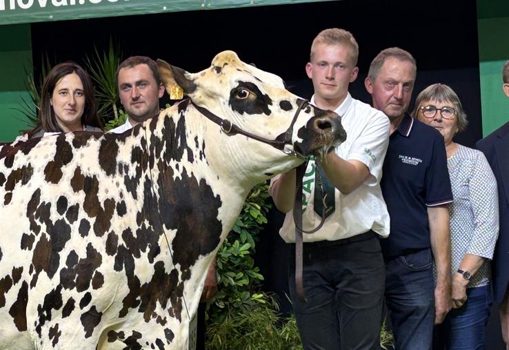 Réserve championne jeune, Solive (Nicoby/Montoya), vache en 3e lactation du Gaec Houssin termine sur la seconde place du podium derrière la grande championne.