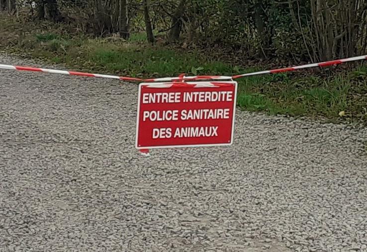 La Ferme de Béthanie, à Picauville, a joué le rôle de l'exploitation d'origine des bovins contaminés
